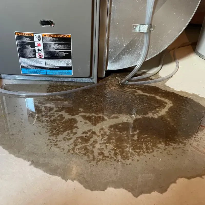 Appliance Leak Cleanup in Southwest Ranches, FL